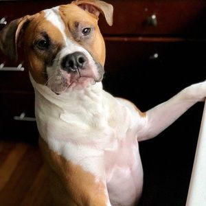 Meet your Posher, Krista